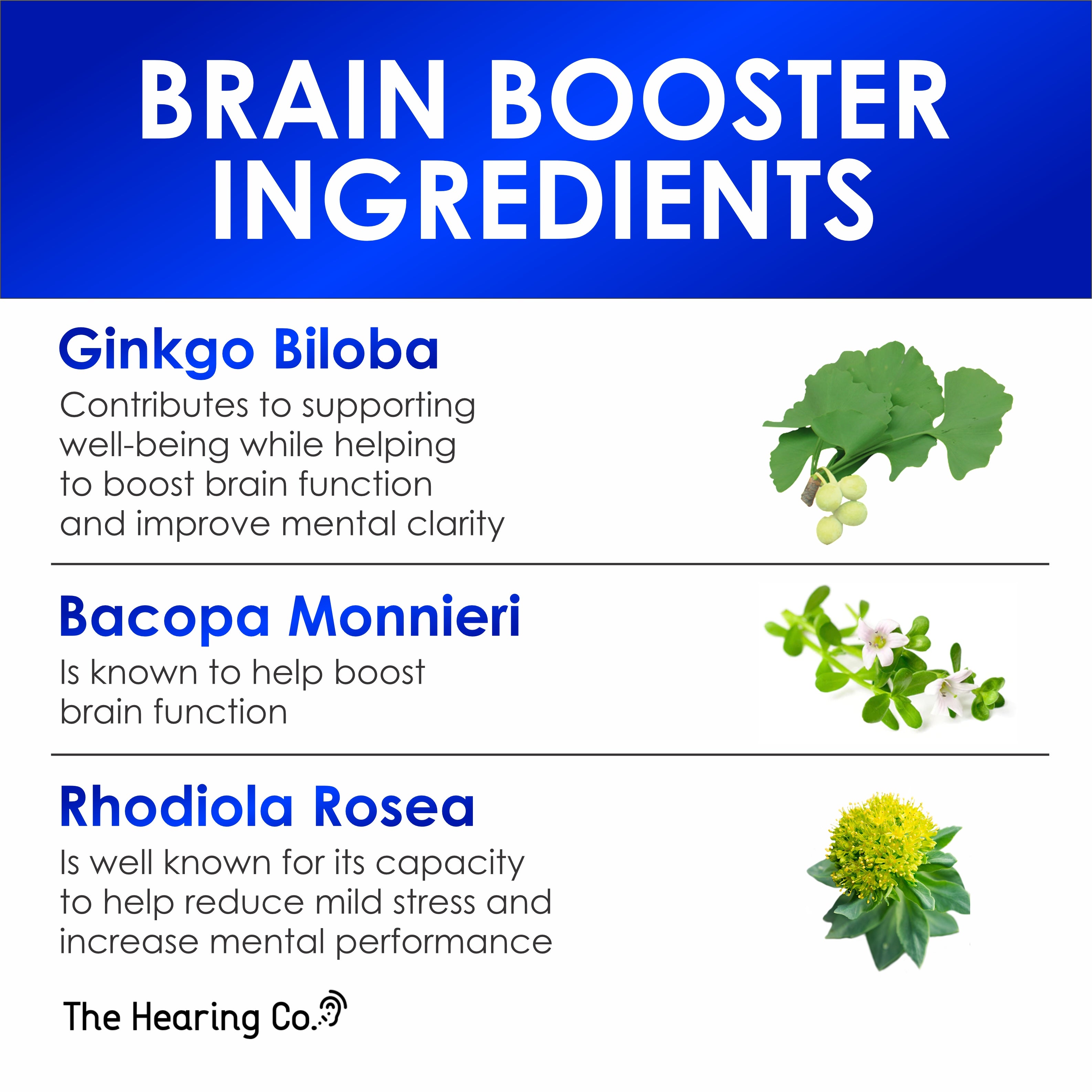 Natural Brain & Memory Booster