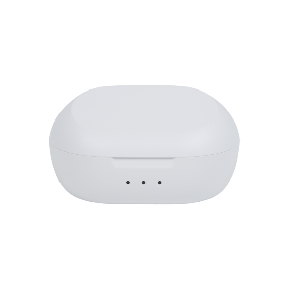 Replacement - Micro BTE Charging Case